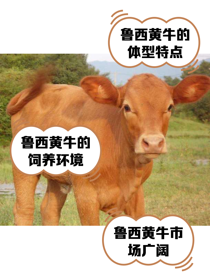 眉山最新医保取现黄牛方法分析(最方便真实的眉山医保取现黄牛怎么取方法)